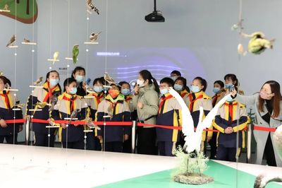 文博創新，IP出圈 看江蘇鹽城如何讓城市文化“活”起來
