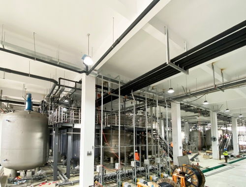 國產NMN“不老藥”概念再掀熱潮 寧波百噸工廠試產成功，惠及80萬人，或成網絡游戲開發新藍海